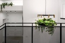 LAVERD CHANDELIER with PLANTS