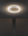 TIDAL CEILING LIGHT