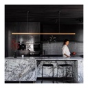 CAPITAL PENDANT LIGHT