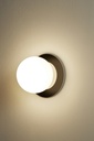 ALFI WALL & CEILING LIGHT 