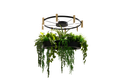 LAVERD CHANDELIER with PLANTS